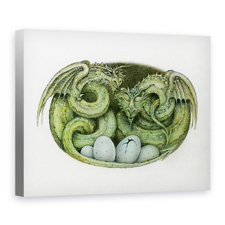 Tablou canvas - Wayne Anderson - Amphisbaena, 50 x 70 cm