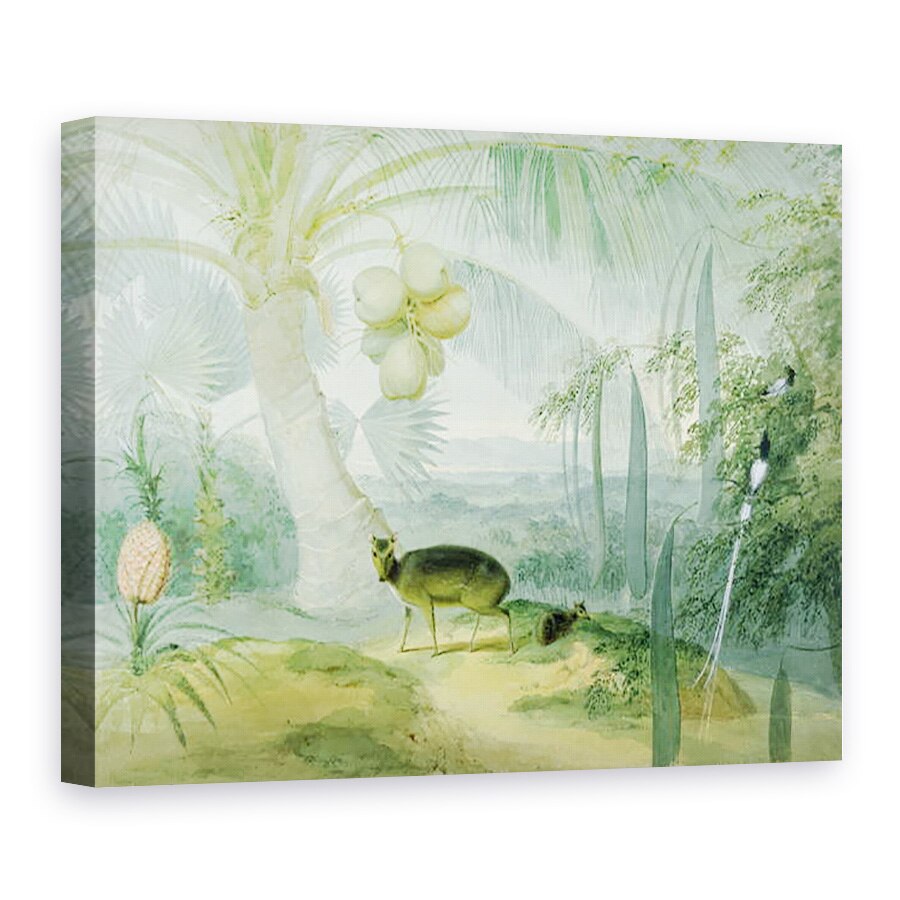 Tablou canvas - Samuel Daniell - Un peisaj in Ceylon, cu cerb latrat si Fawn si o pereche de Paradise Fly-Catchers, 75 x 100 cm