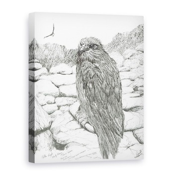 Tablou canvas - Vincent Alexander Booth - Eagles of the Highlands, 2011, 75 x 100 cm Tablou canvas - Vincent Alexander Booth - Eagles of the Highlands, 2011, 75 x 100 cm