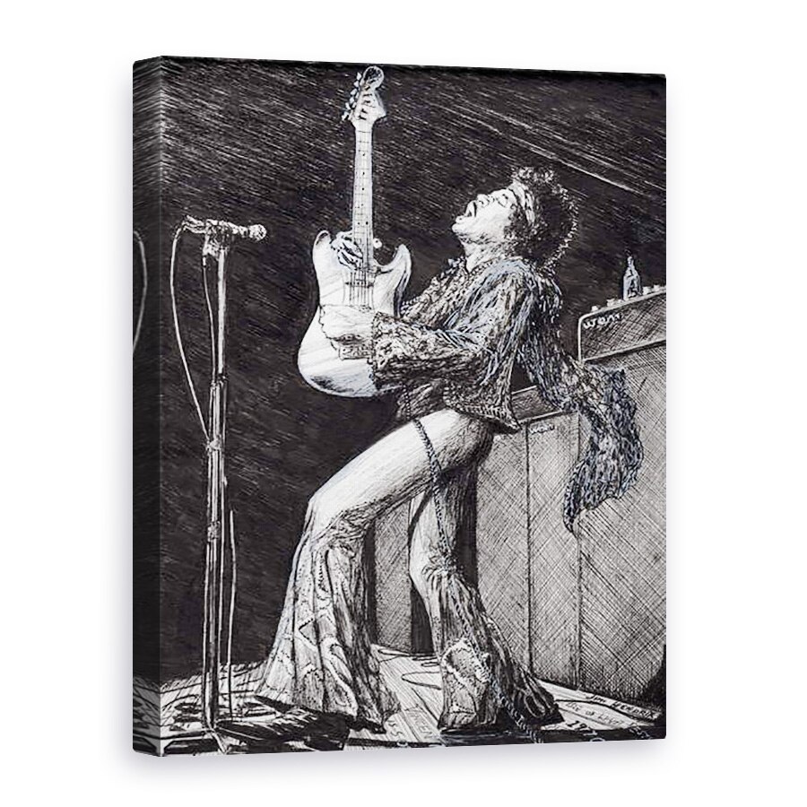 Tablou canvas - Vincent Alexander Booth - Rock Star, 2009, 75 x 100 cm