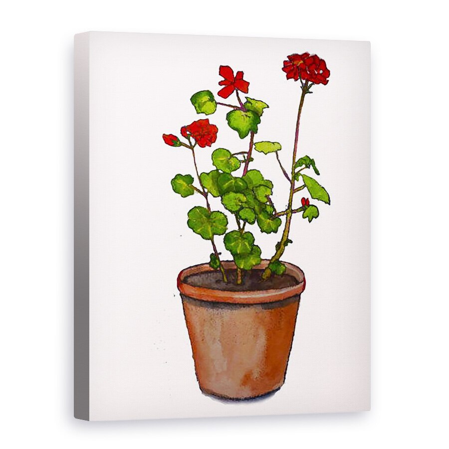 Tablou canvas - Sarah Thompson-Engels - Geraniums in ghiveci de flori,2019, 75 x 100 cm