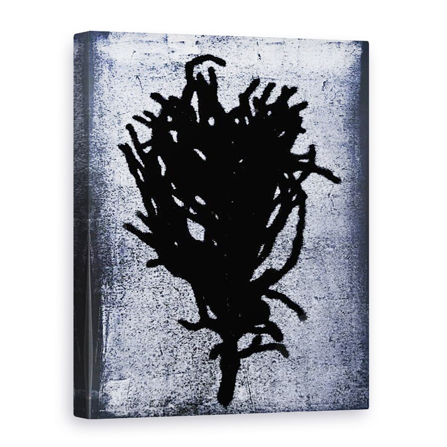 Tablou canvas - Sarah Thompson-Engels - Feriga neagra 2020, 50 x 70 cm