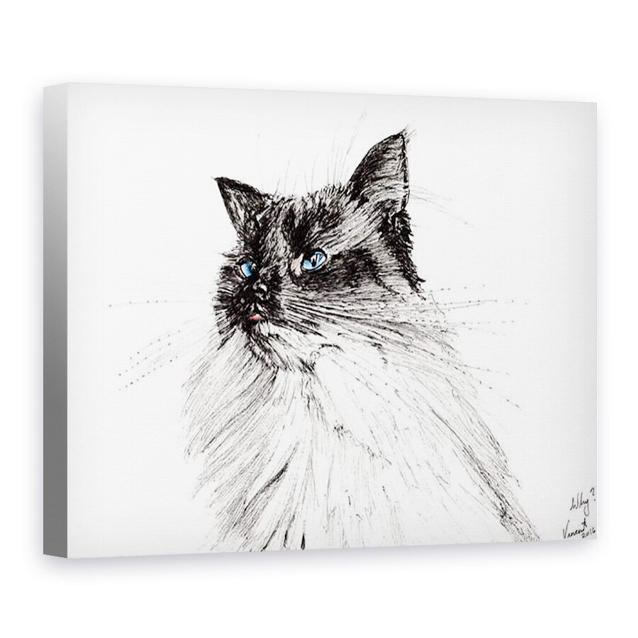 Tablou canvas - Vincent Alexander Booth - De ce? 2016, 50 x 70 cm