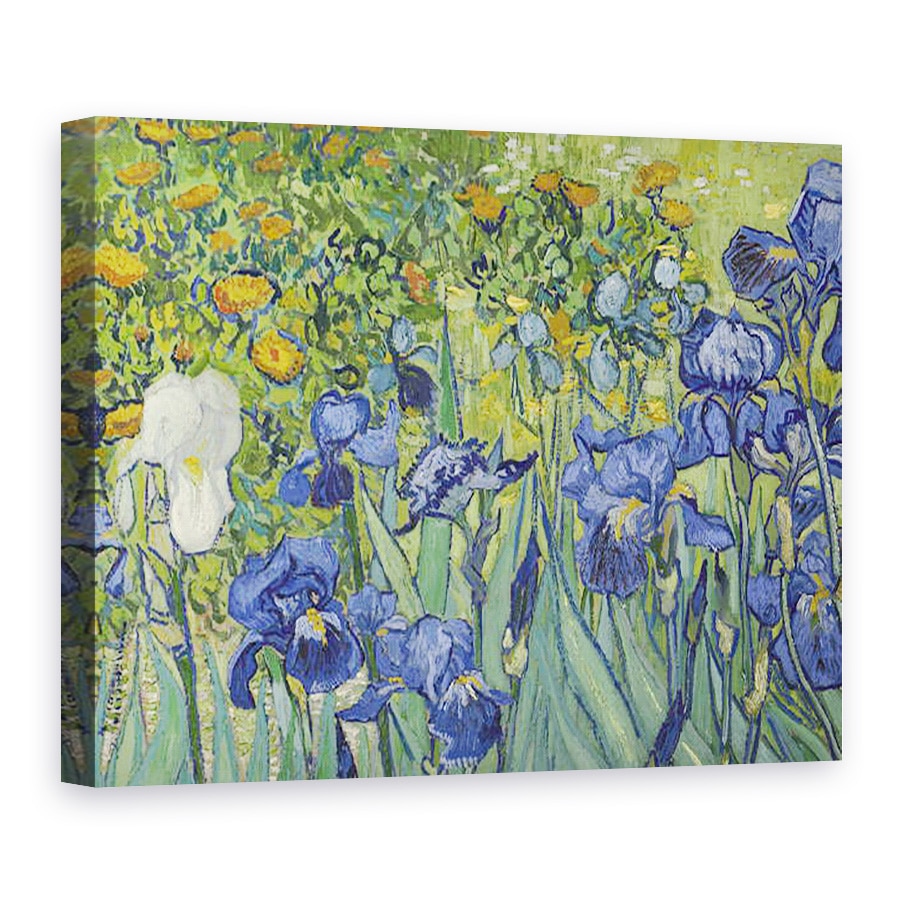 Tablou canvas - Vincent van Gogh - Irisi II, 50 x 70 cm
