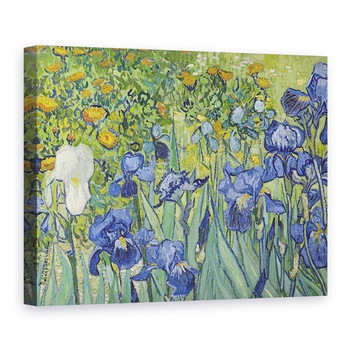 Tablou canvas - Vincent van Gogh - Irisi II, 50 x 70 cm Tablou canvas - Vincent van Gogh - Irisi II, 50 x 70 cm