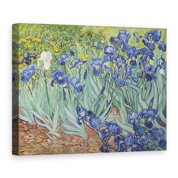 Tablou canvas - Vincent van Gogh - Irisi I, 75 x 100 cm Tablou canvas - Vincent van Gogh - Irisi I, 75 x 100 cm