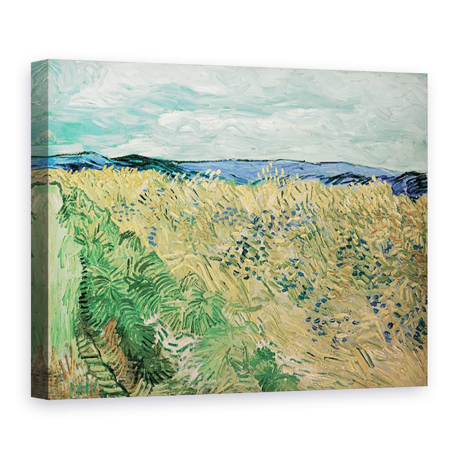 Tablou canvas - Vincent van Gogh - Campul de grau cu albastrea, 75 x 100 cm