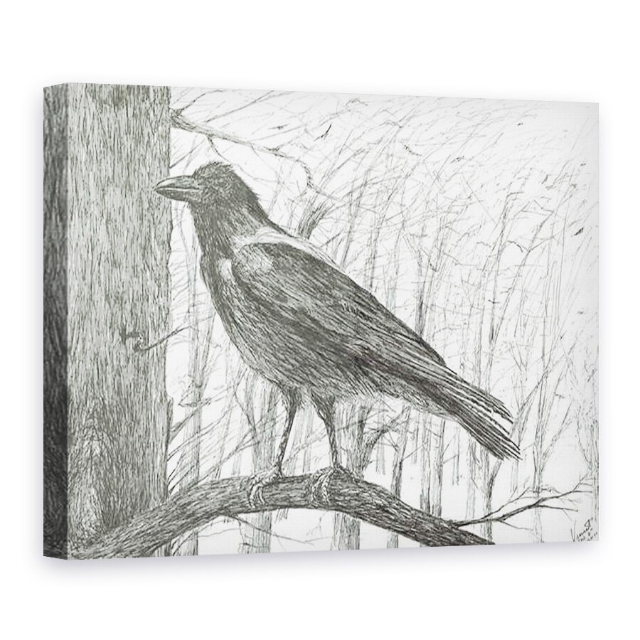 Tablou canvas - Vincent Alexander Booth - Pasare, 2011, 50 x 70 cm