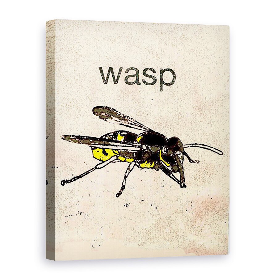 Tablou canvas - Sarah Thompson-Engels - Wasp 2014, 50 x 70 cm