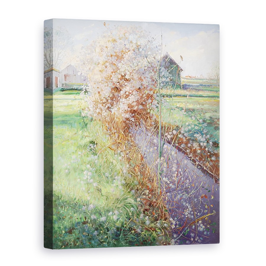 Tablou canvas - Timothy Easton - Bearded Bush, 75 x 100 cm