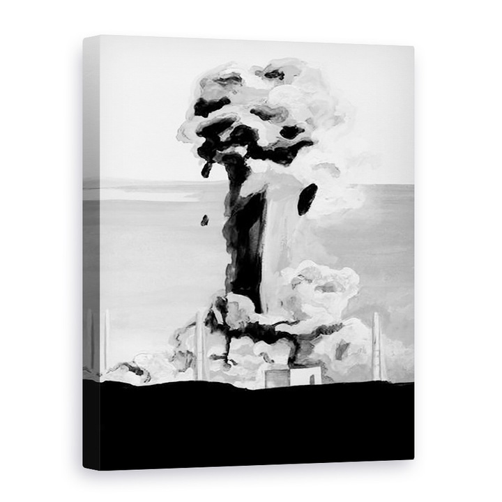 Tablou canvas - Tomoko FURUYA - Accident la centrala nuclear,2014, 75 x 100 cm