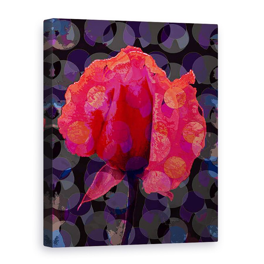 Tablou canvas - Scott J. Davis - Ceai Rose 3b, 75 x 100 cm