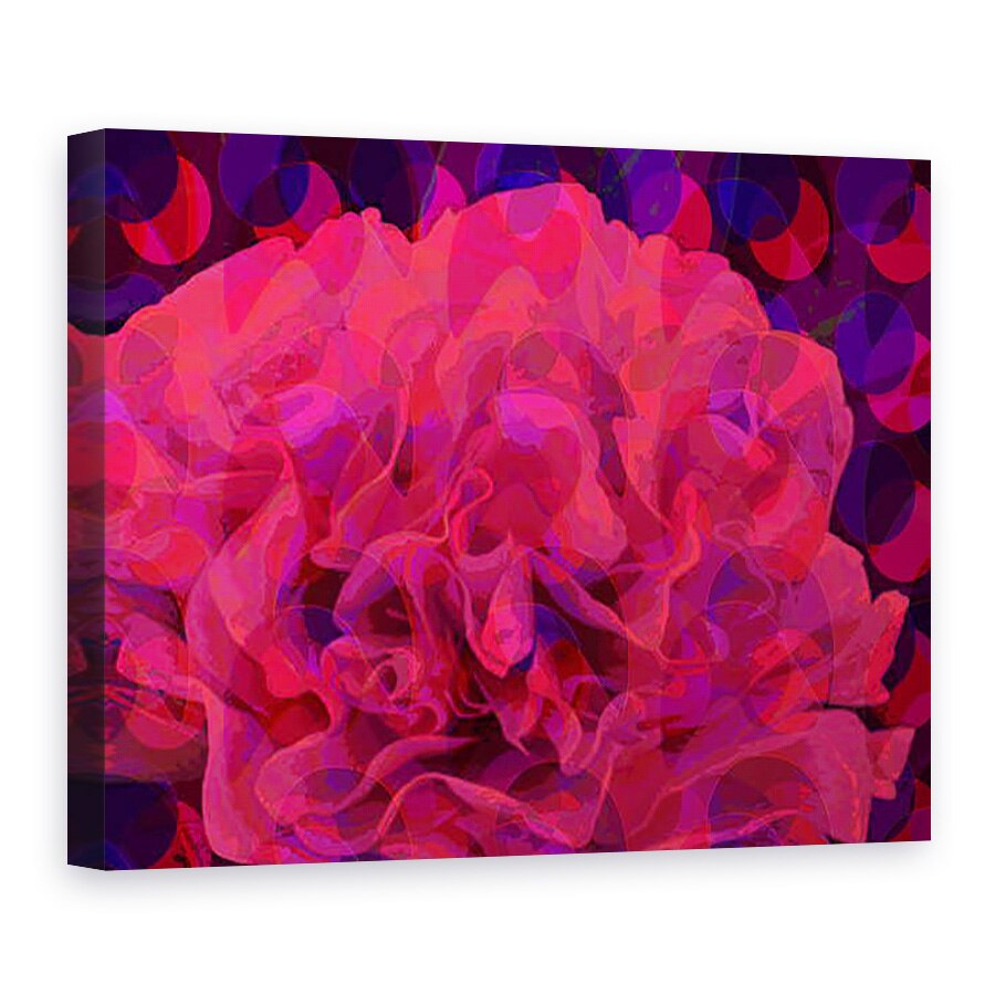 Tablou canvas - Scott J. Davis - Garoafe, 75 x 100 cm