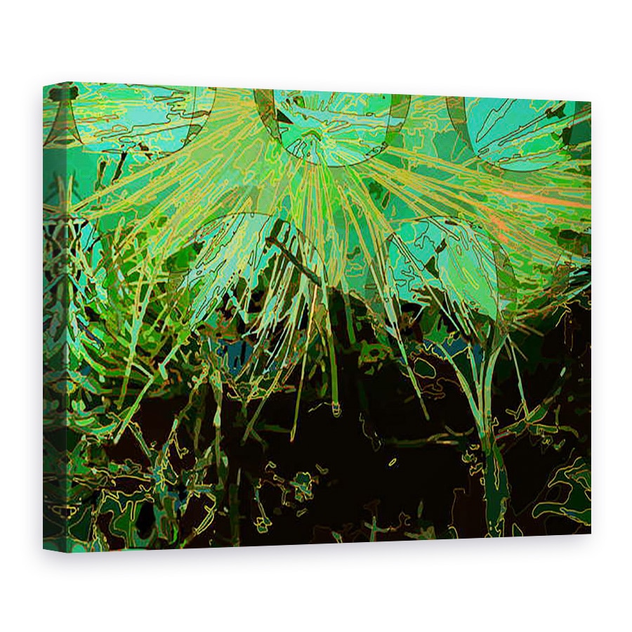 Tablou canvas - Scott J. Davis - Artichoke_abst_horz2, 75 x 100 cm