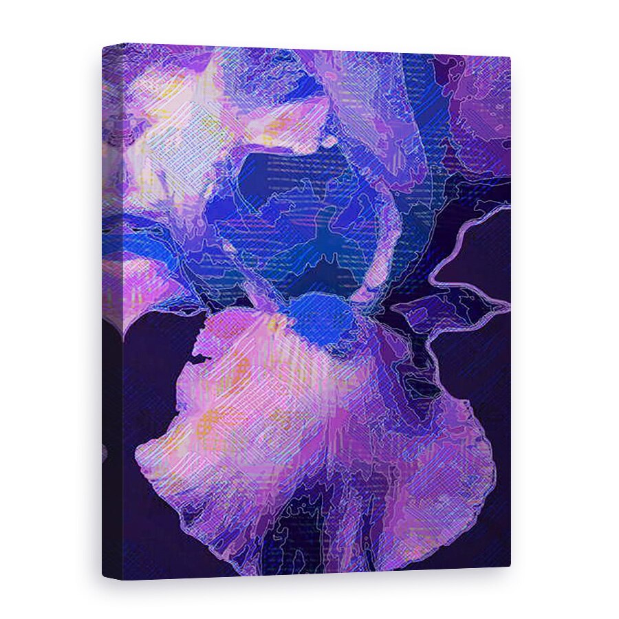 Tablou canvas - Scott J. Davis - Albastru Iris, 50 x 70 cm