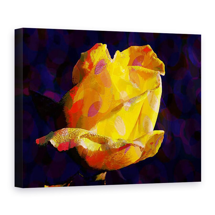 Tablou canvas - Scott J. Davis - Trandafir galben, 75 x 100 cm