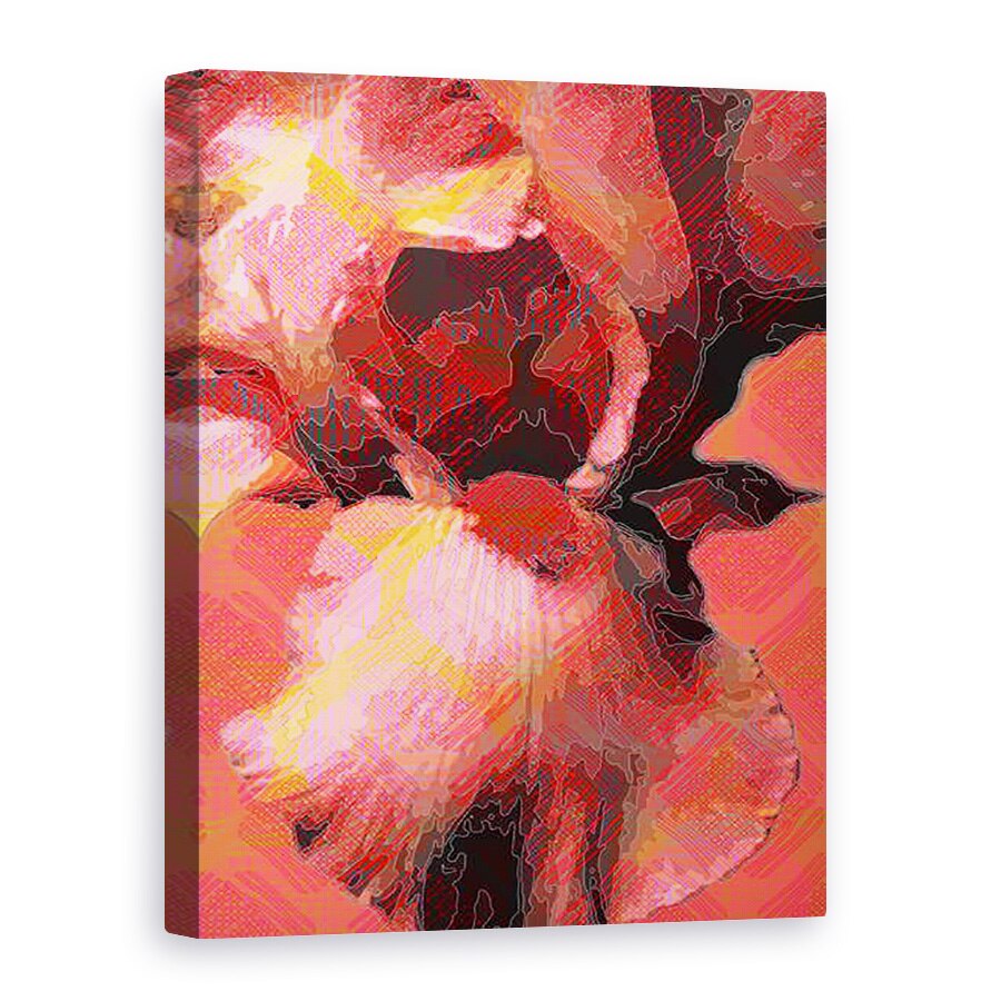 Tablou canvas - Scott J. Davis - Iris portocaliu, 75 x 100 cm