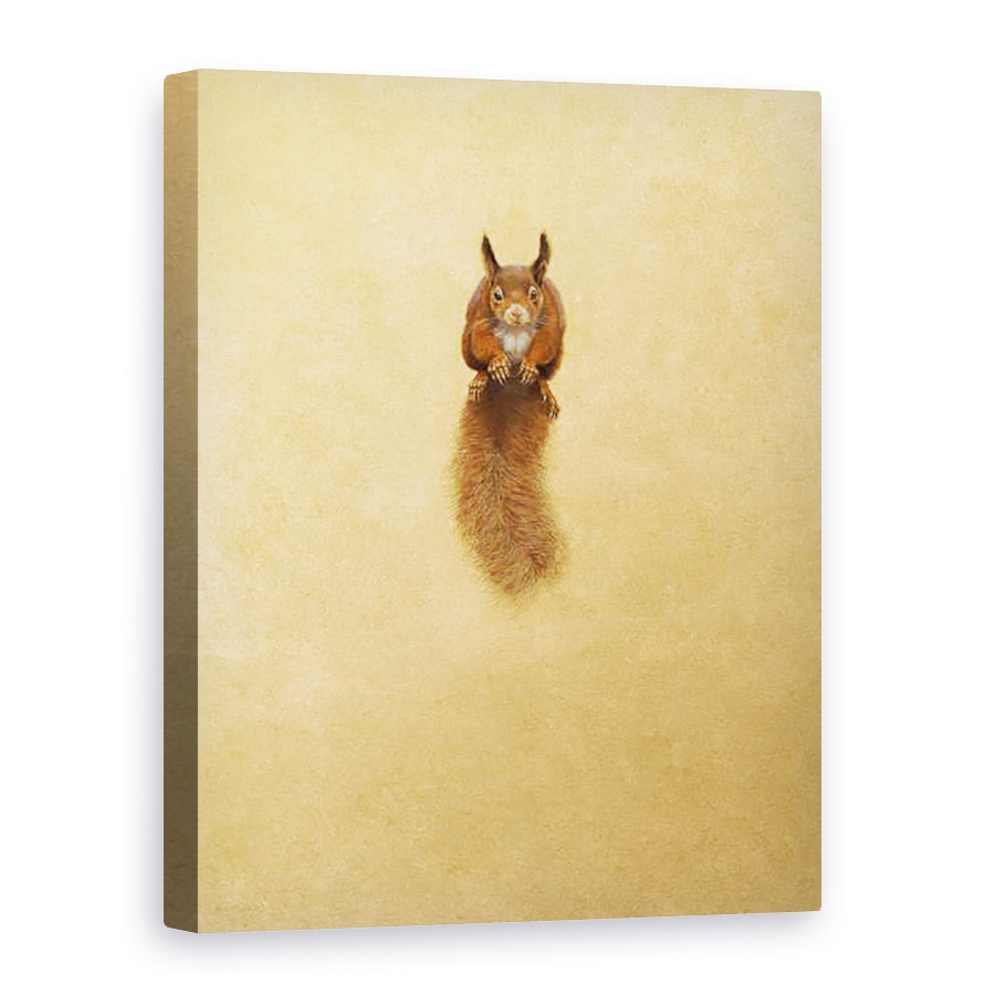 Tablou canvas - Tim Hayward - Veverita Rosie saritoare -, 60 x 80 cm
