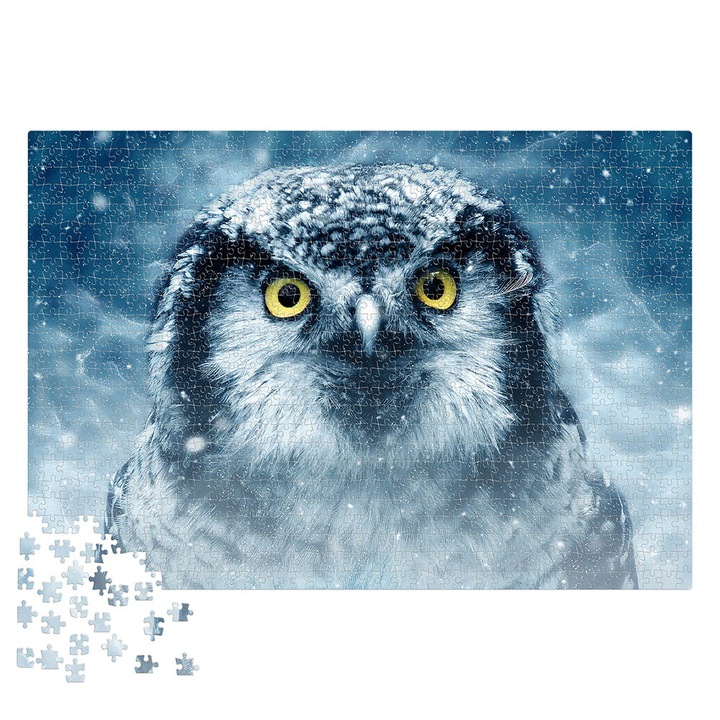 Puzzle Deico - Animals, Owl, 1000 piese