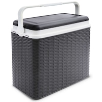 lada frigorifica 24 litri model rattan antracit imagen 16_0_
0