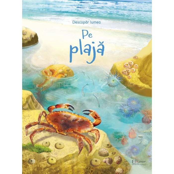Pe plaja, usborne