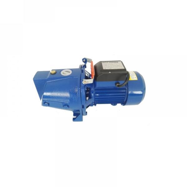 Pompa apa suprafata JET de adancime DP-550 Micul Fermier