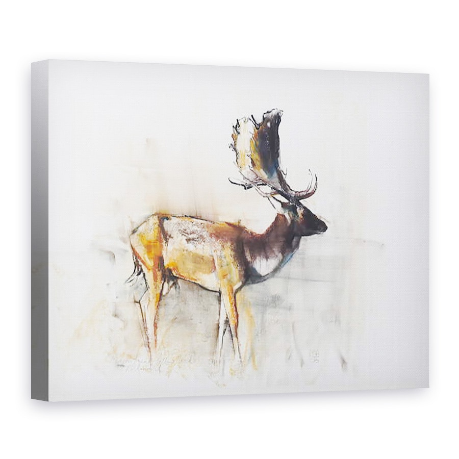 Tablou canvas - Mark Adlington - Magnificul Buck Fallow, 75 x 100 cm