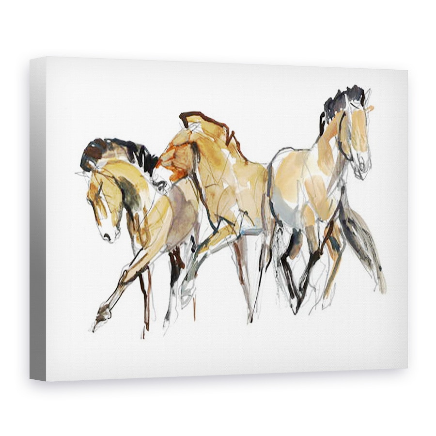 Tablou canvas - Mark Adlington - Mistral Trei Przewalski, 75 x 100 cm