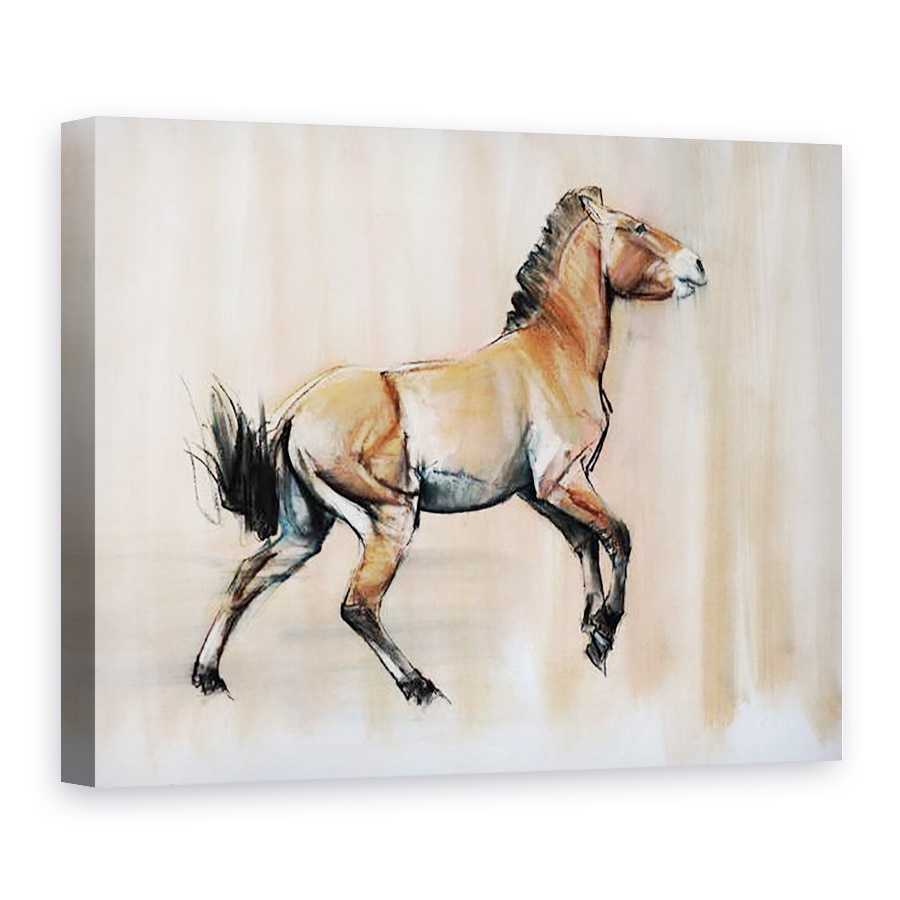 Tablou canvas - Mark Adlington - Tanarul armasar Przewalski, 2014, 75 x 100 cm