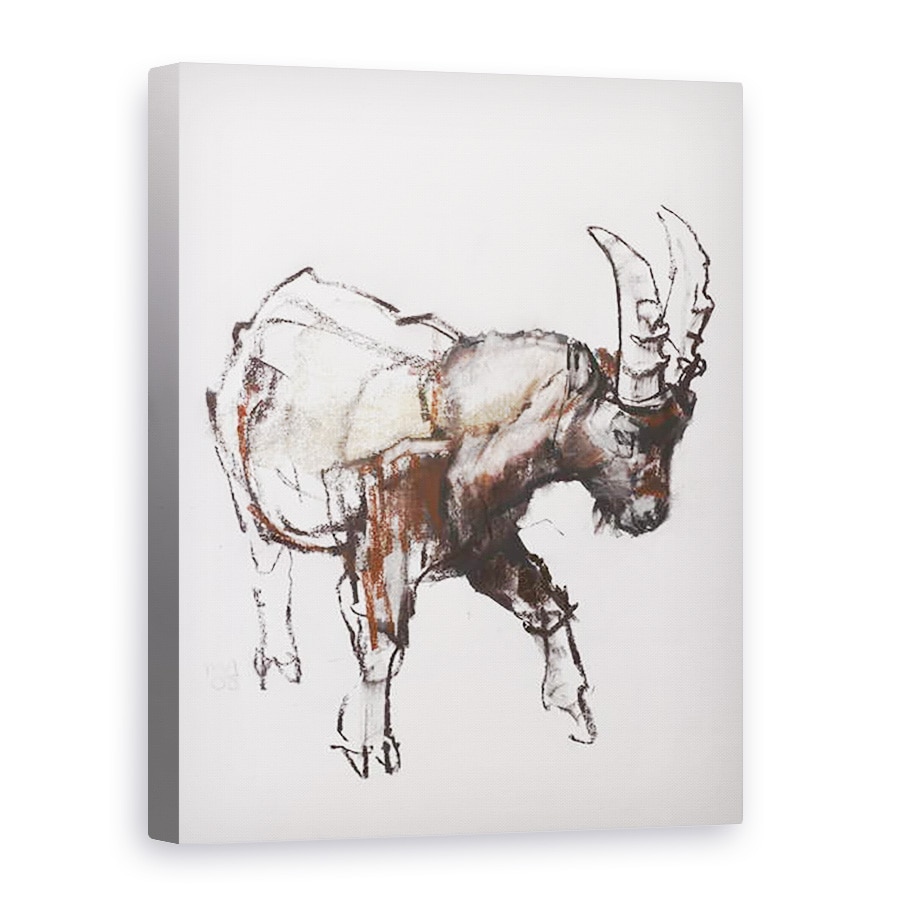 Tablou canvas - Mark Adlington - Tineri Ibex, Gran Paradiso, 75 x 100 cm
