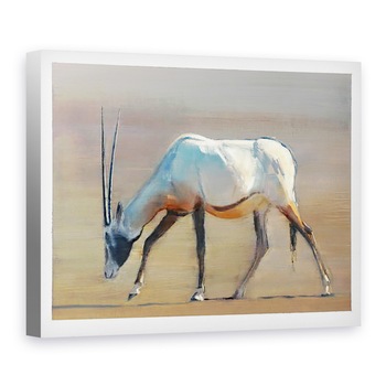 Tablou canvas - Mark Adlington - Arabian Oryx, 60 x 80 cm Tablou canvas - Mark Adlington - Arabian Oryx, 60 x 80 cm