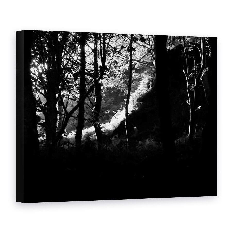 Tablou canvas - Peter McClure - KINTYRE... PLUS. 17, 60 x 80 cm