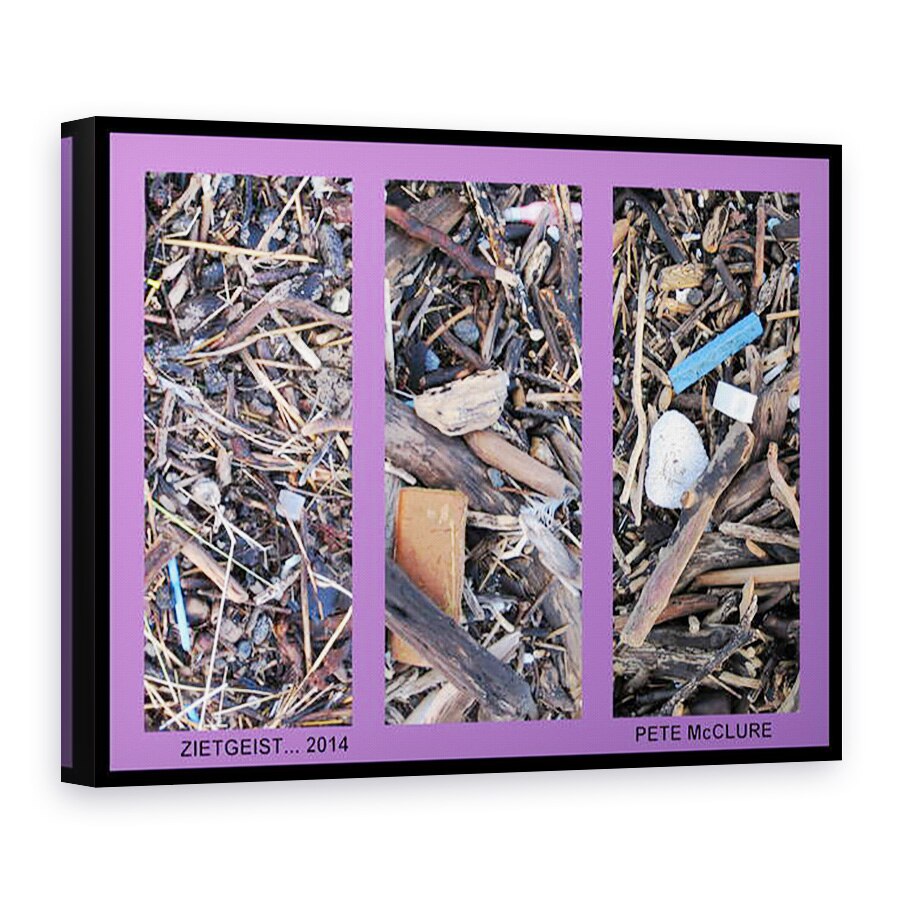 Tablou canvas - Peter McClure - TRIPTIC ZIETGEIST, 2013, 60 x 80 cm