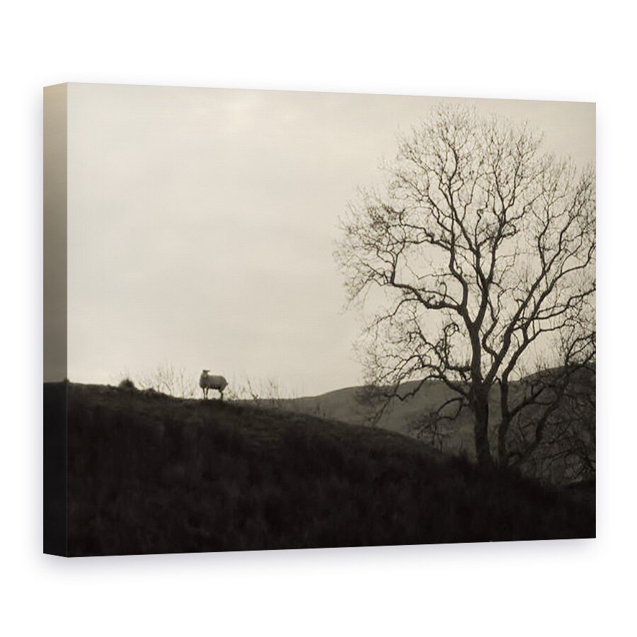 Tablou canvas - Peter McClure - KINTYRE... PLUS.9, 75 x 100 cm