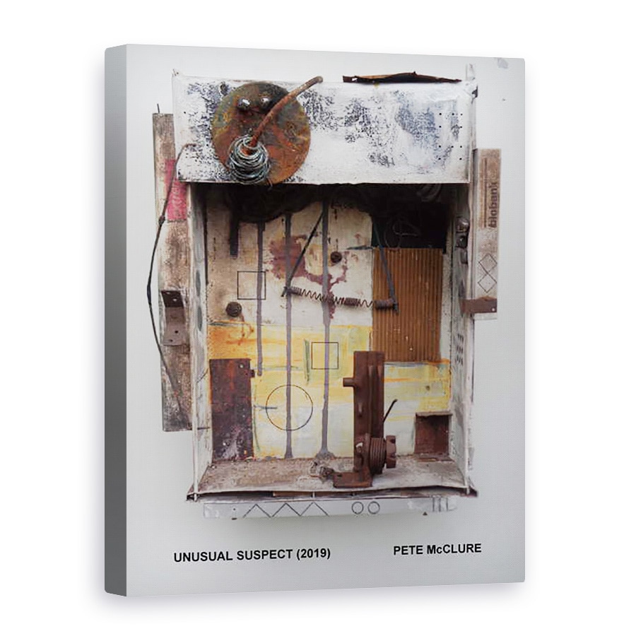 Tablou canvas - Peter McClure - UN SUSPECT NEOBIsNUIT. 2019, 60 x 80 cm