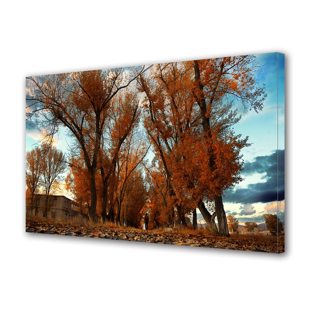 Tablou Canvas Luminos in intuneric VarioView LED, Toamna, Mergand pe sub copaci, 40 x 60 cm