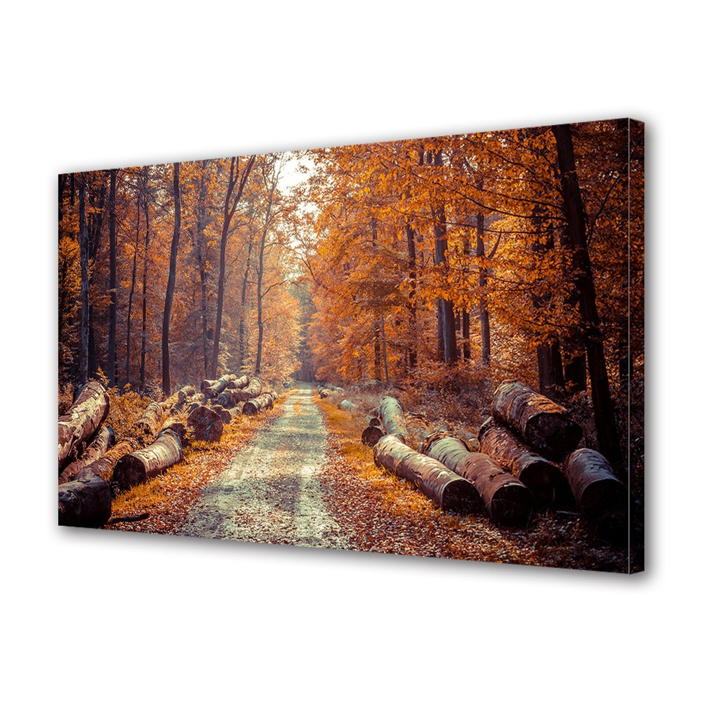 Tablou Canvas Luminos in intuneric VarioView LED, Toamna, Alee de vis prin padure, 30 x 45 cm