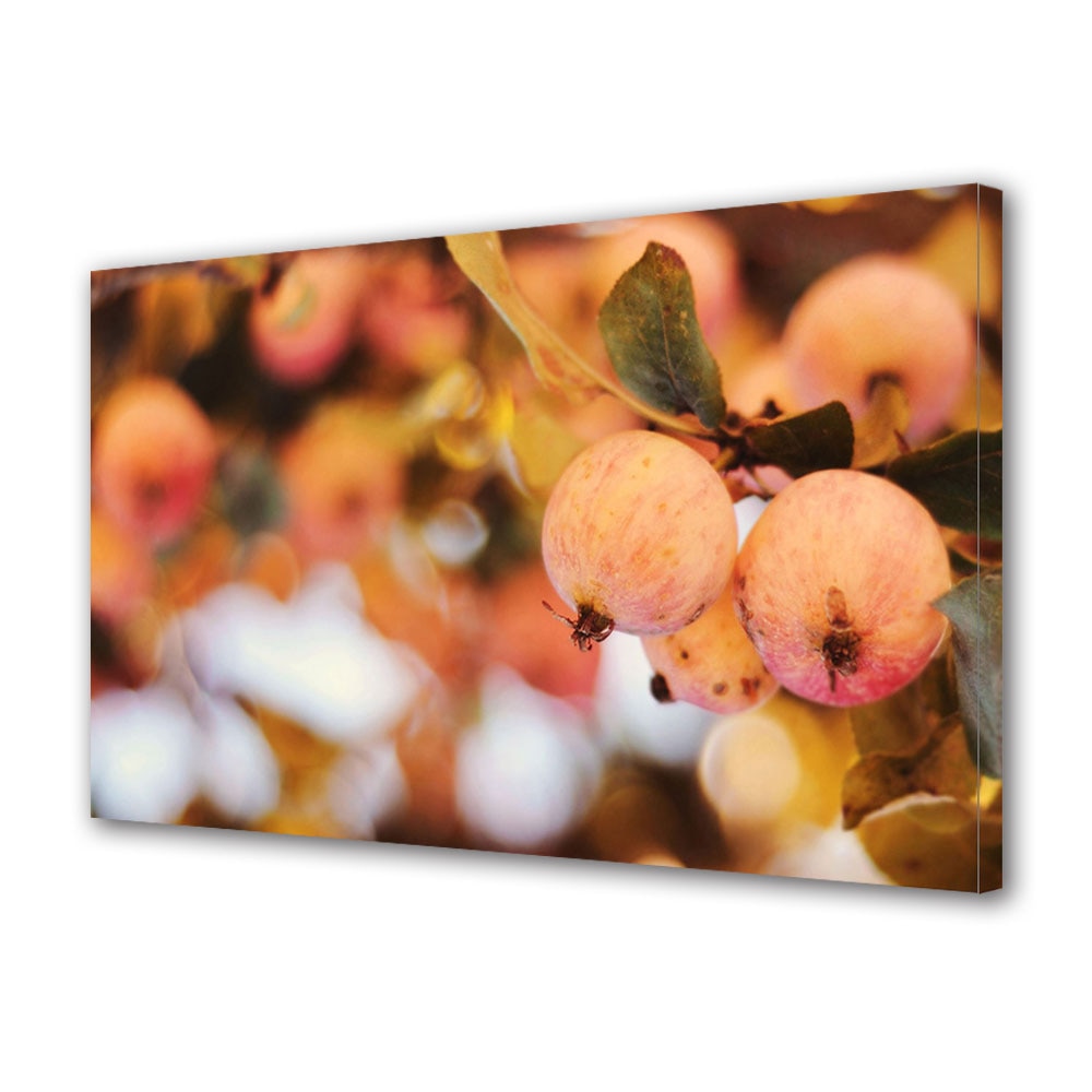 Tablou Canvas Luminos in intuneric VarioView LED, Toamna, Crenguta cu mere, 30 x 45 cm