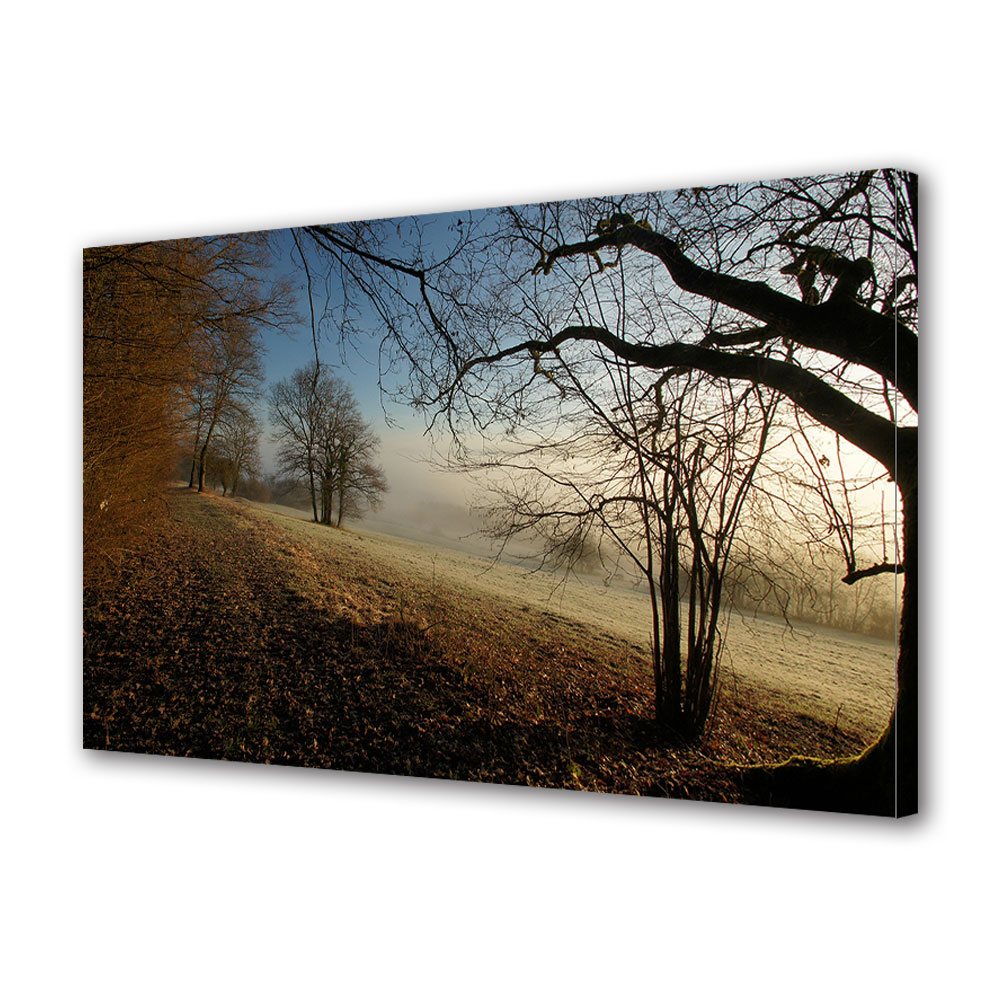 Tablou Canvas Luminos in intuneric VarioView LED, Toamna, Se ridica ceata, 40 x 60 cm