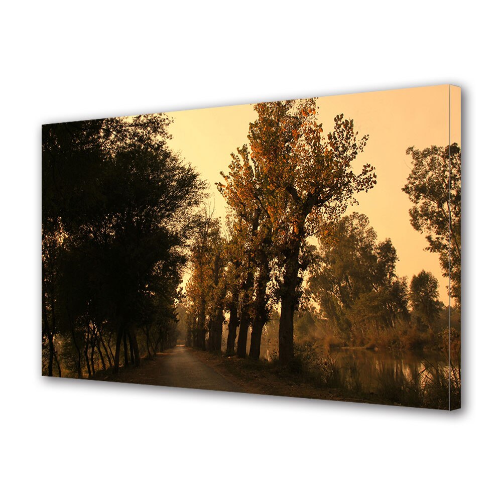 Tablou Canvas Luminos in intuneric VarioView LED, Toamna, Lumina serii pe drum, 30 x 45 cm