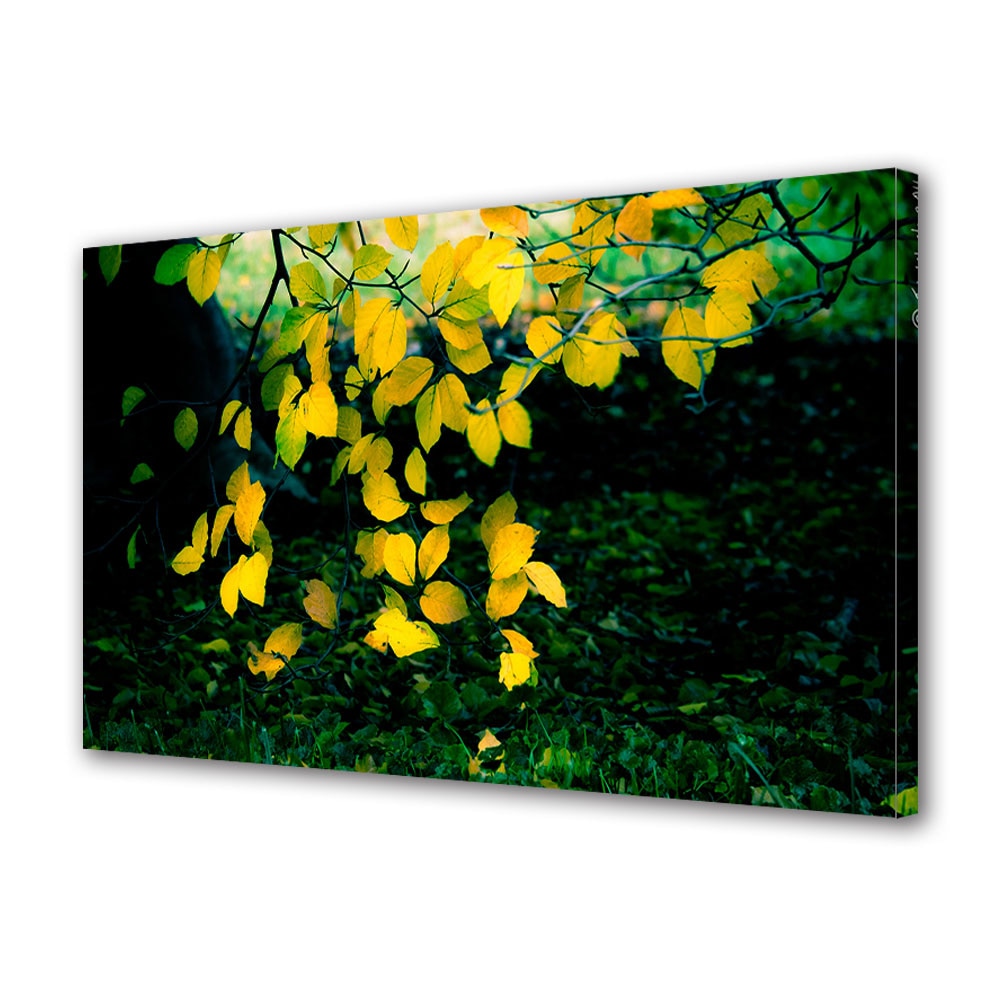 Tablou Canvas Luminos in intuneric VarioView LED, Toamna, Frunzele galbene, 40 x 60 cm
