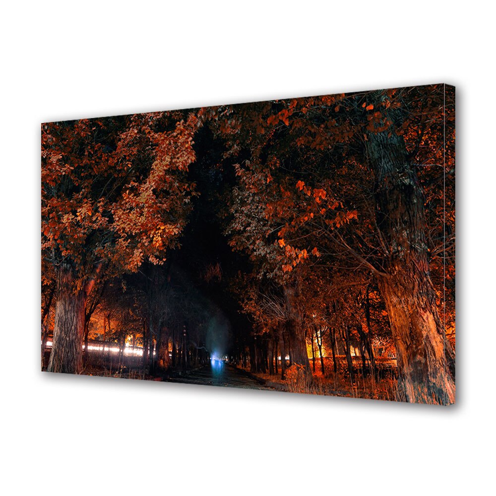 Tablou Canvas Luminos in intuneric VarioView LED, Toamna, Lumini pe sub coroanele copacilor, 30 x 45 cm