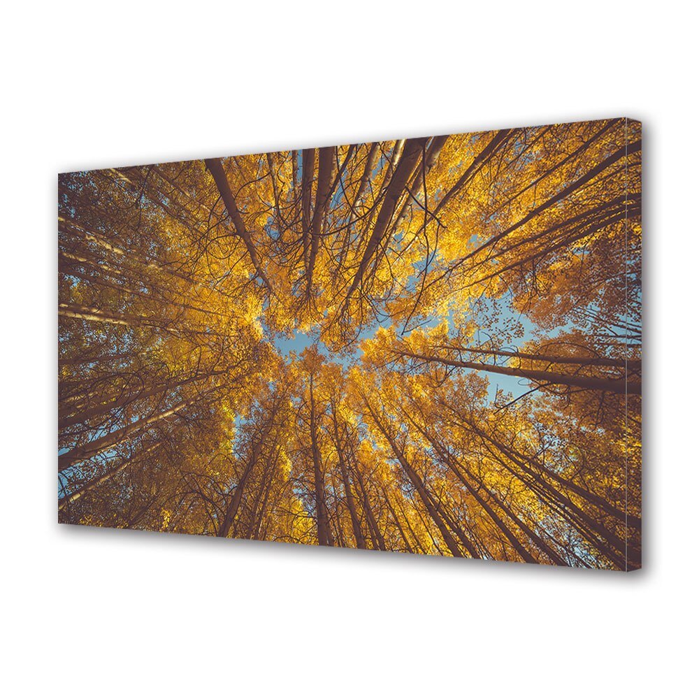 Tablou Canvas Luminos in intuneric VarioView LED, Toamna, Clipa de relaxare printre copaci inalti, 40 x 60 cm