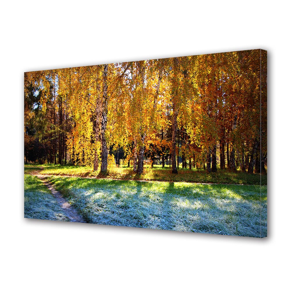 Tablou Canvas Luminos in intuneric VarioView LED, Toamna, Iarba inghetata dimineata de toamna, 30 x 45 cm