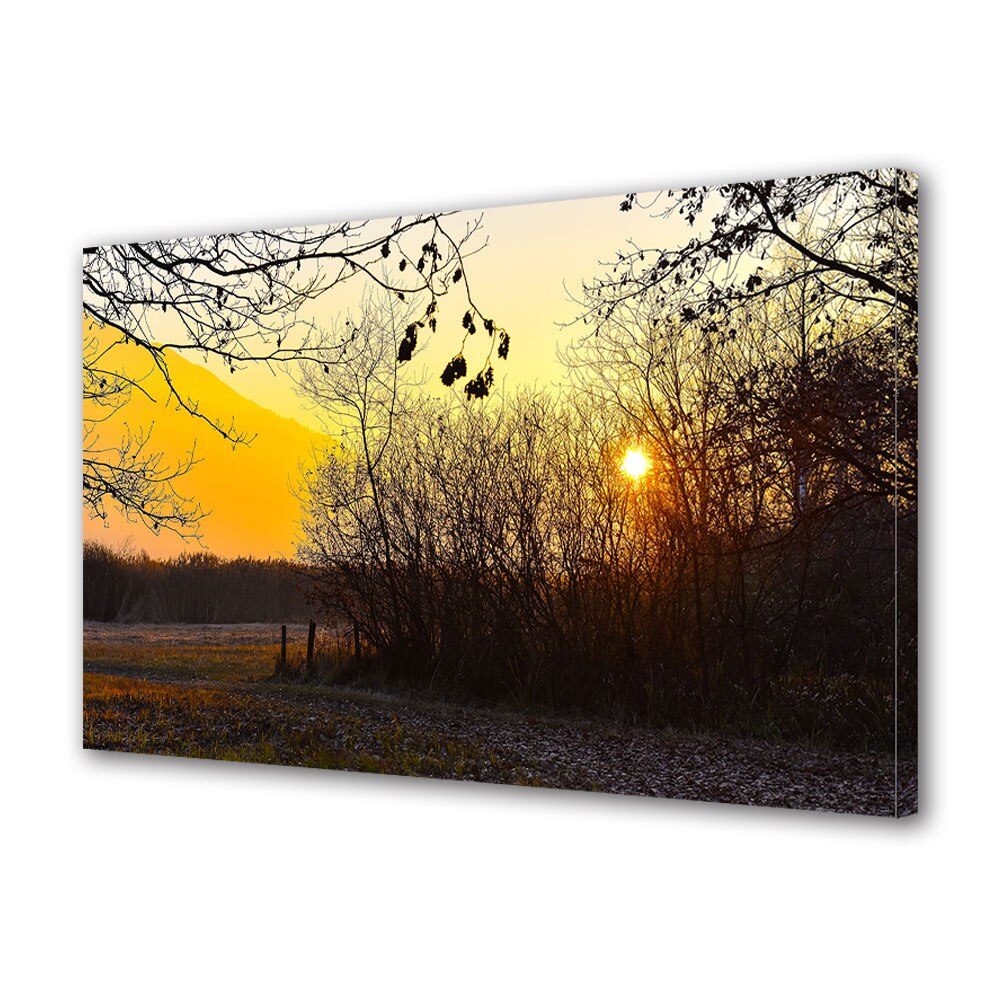 Tablou Canvas Luminos in intuneric VarioView LED, Toamna, Apus de toamna printre ramuri, 40 x 60 cm