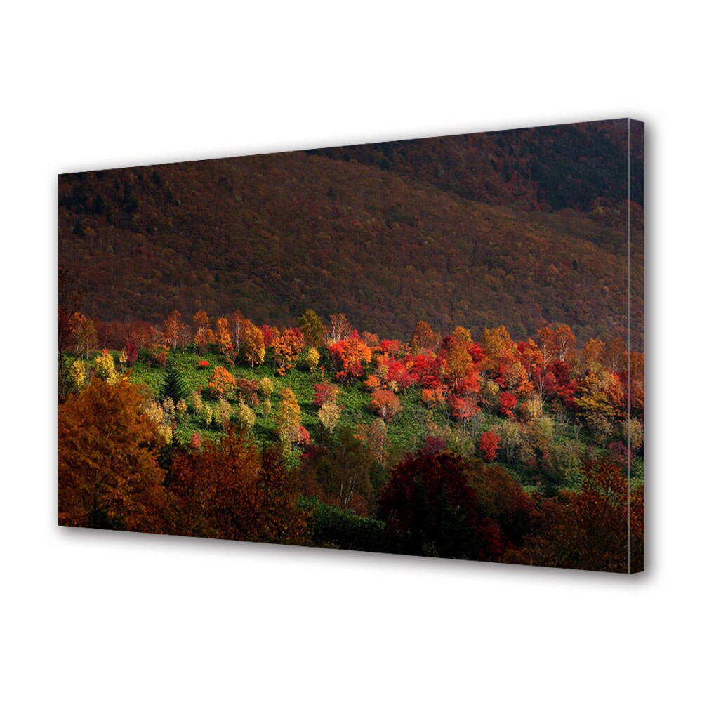Tablou Canvas Luminos in intuneric VarioView LED, Toamna, Dealul insorit, 40 x 60 cm