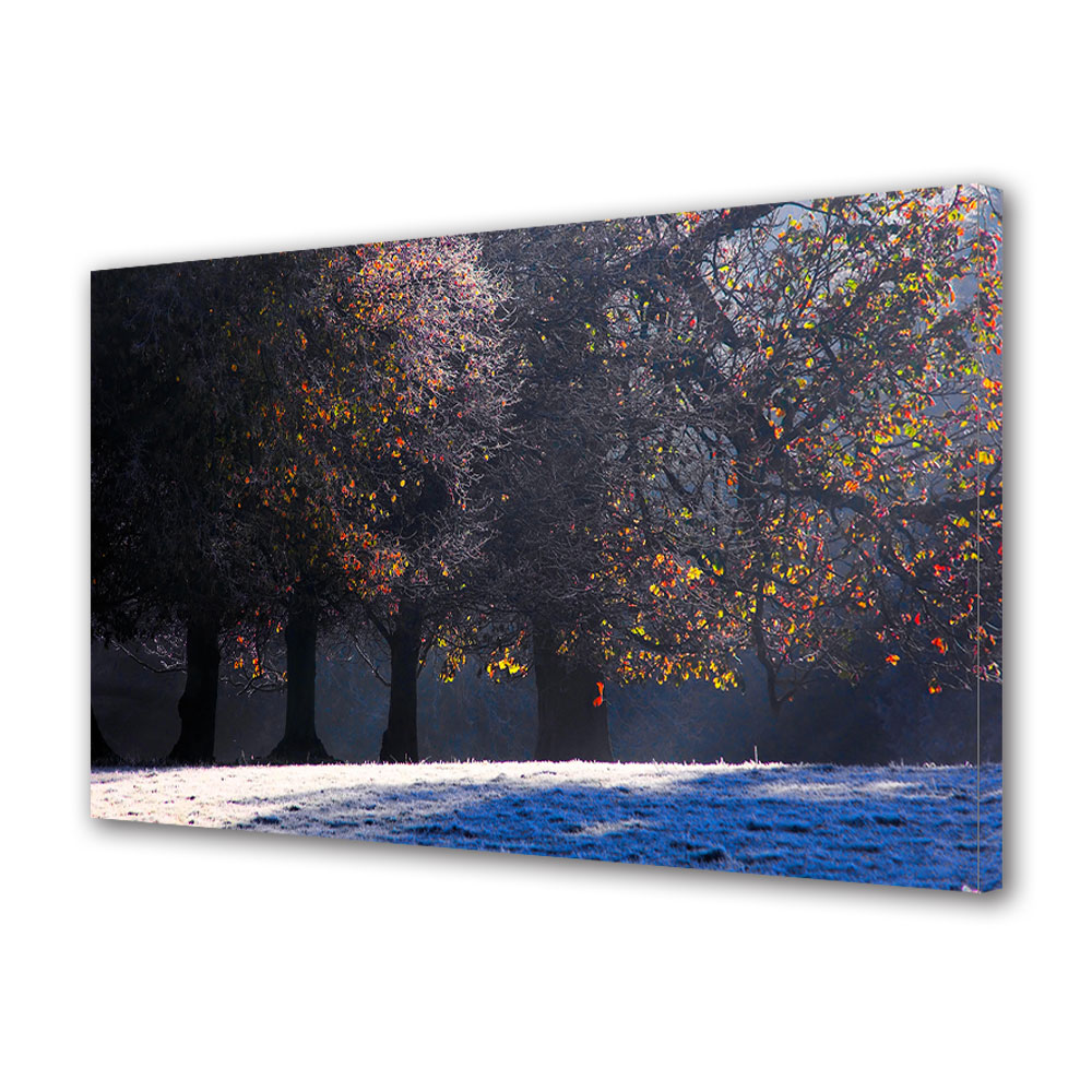Tablou Canvas Luminos in intuneric VarioView LED, Toamna, Poiana cu bruma , 30 x 45 cm