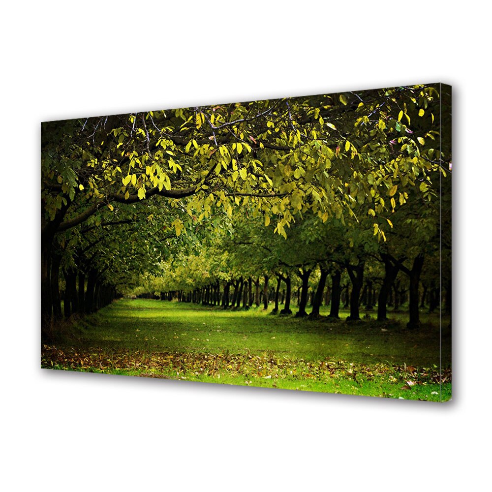 Tablou Canvas Luminos in intuneric VarioView LED, Toamna, Rand de copaci la inceputul toamnei, 30 x 45 cm