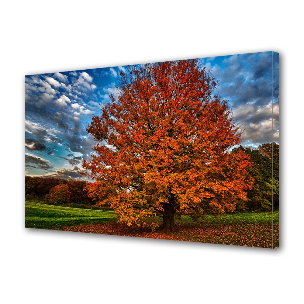 Tablou Canvas Luminos in intuneric VarioView LED, Toamna, Aproape desfrunzit, 40 x 60 cm