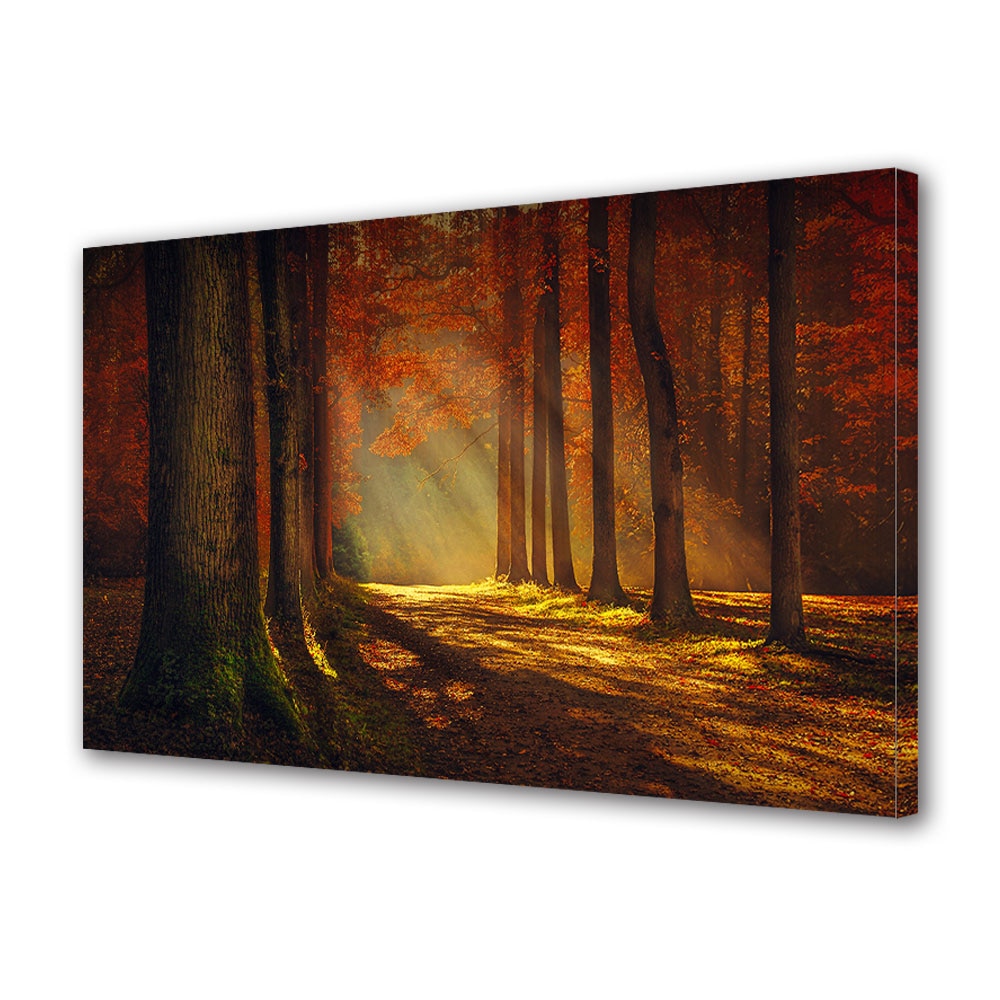 Tablou Canvas Luminos in intuneric VarioView LED, Toamna, Lumina magica , 40 x 60 cm